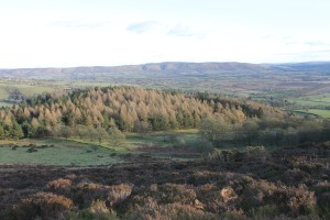 A view from the top of Heath Mynd in Shropshire