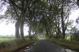 The Dark Hedges