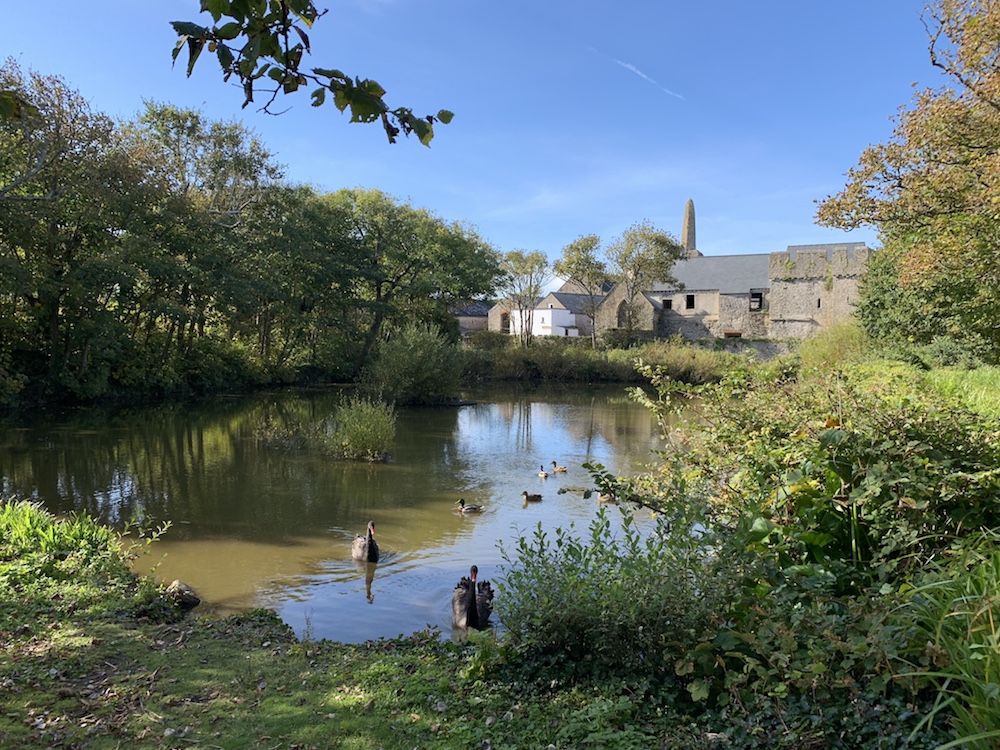 Photo 2018-09-29 10.56.29