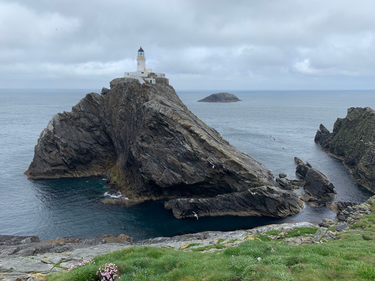 MF from Cliff Skerry